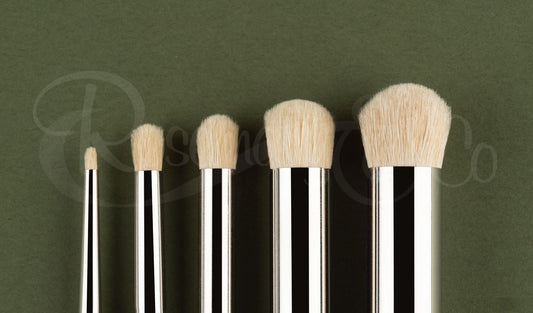 Rosemary & Co Paint Brushes (Model Dry Brush)