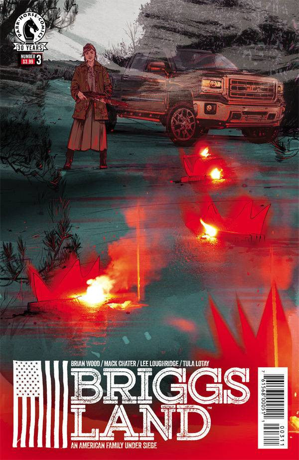 BRIGGS LAND #3 COVER
