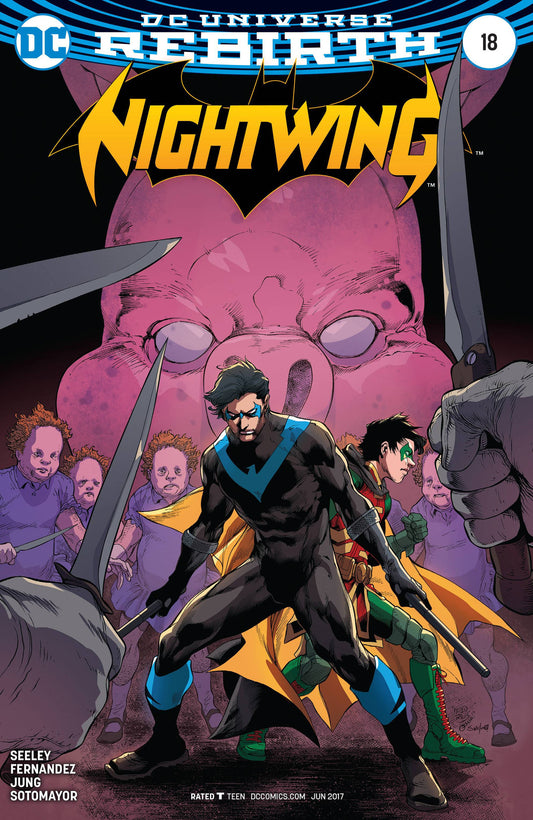 NIGHTWING #18 VAR ED COVER