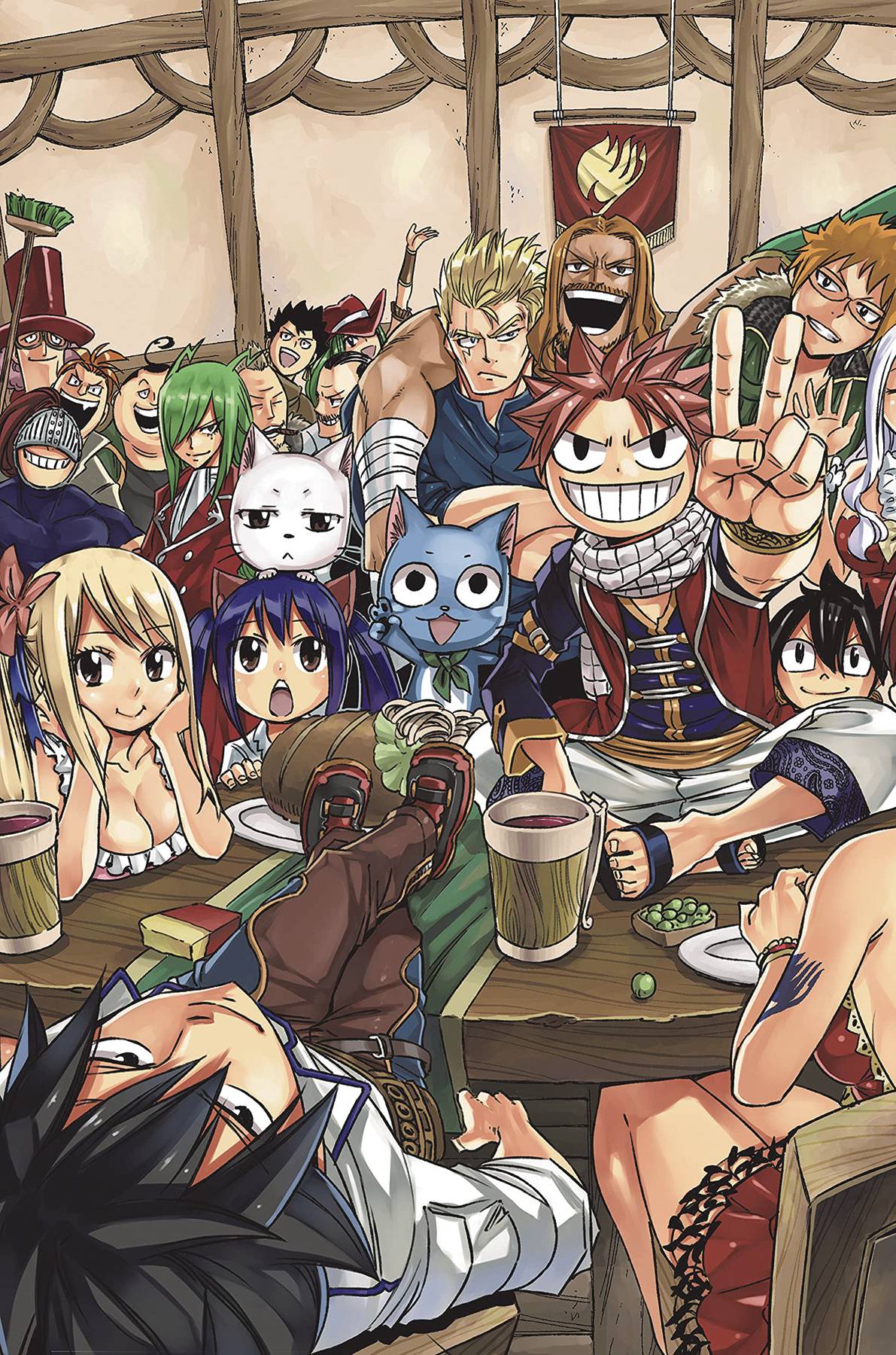 FAIRY TAIL BOX SET VOL 06